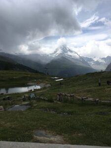 Wolli adventure park