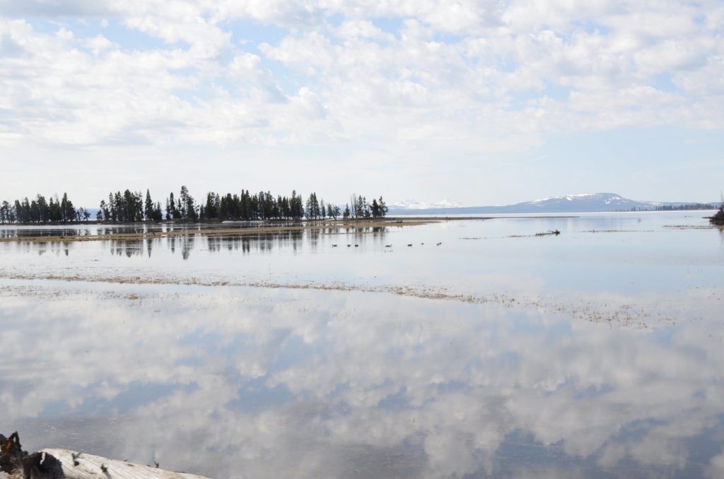 yellowstone lake