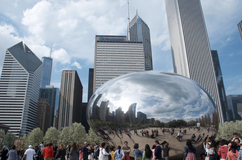 シカゴのKidney bean